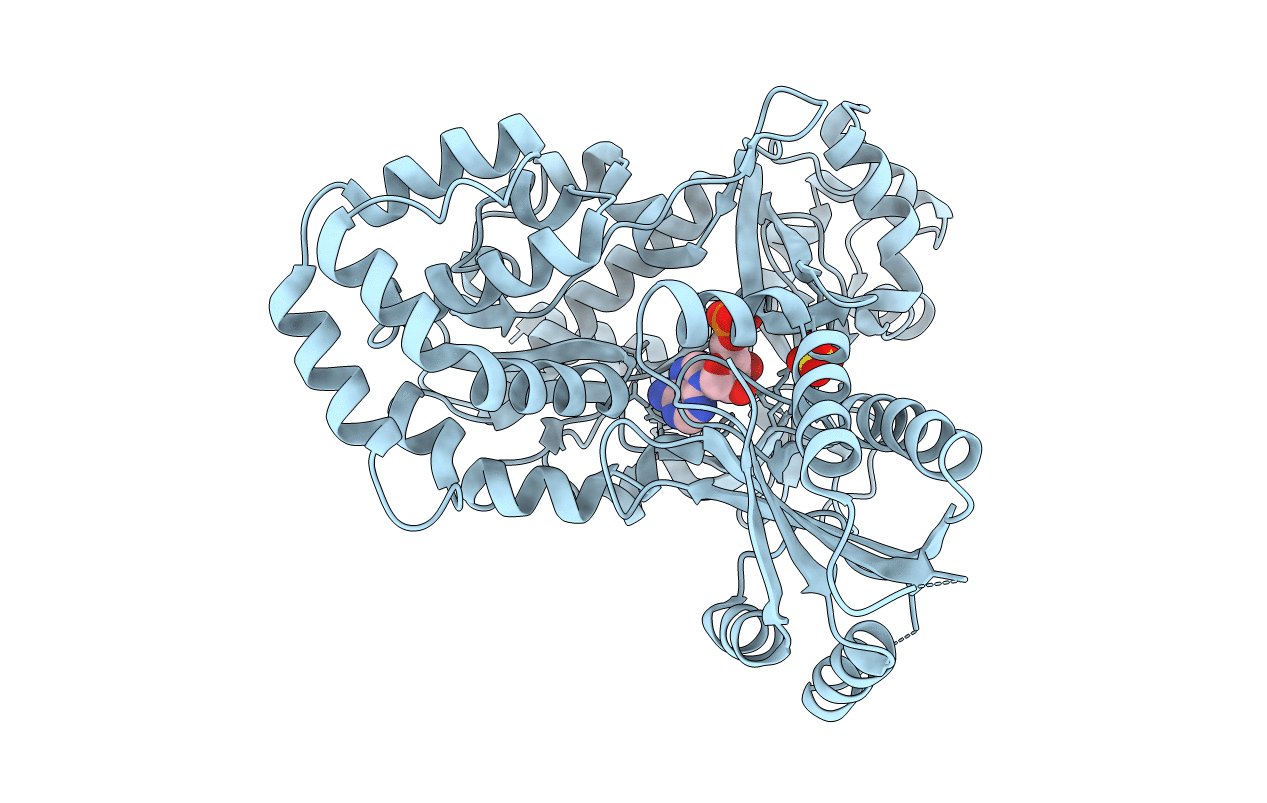 4EPM image