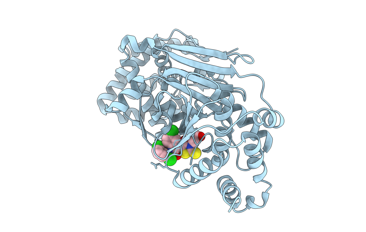 4EPQ image