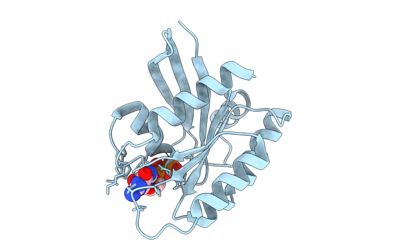 4EPR image