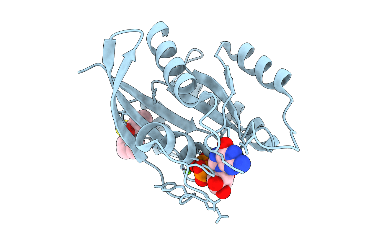 4EPT image