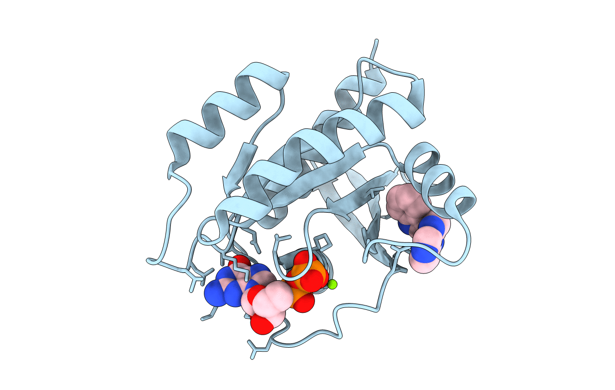 4EPV image