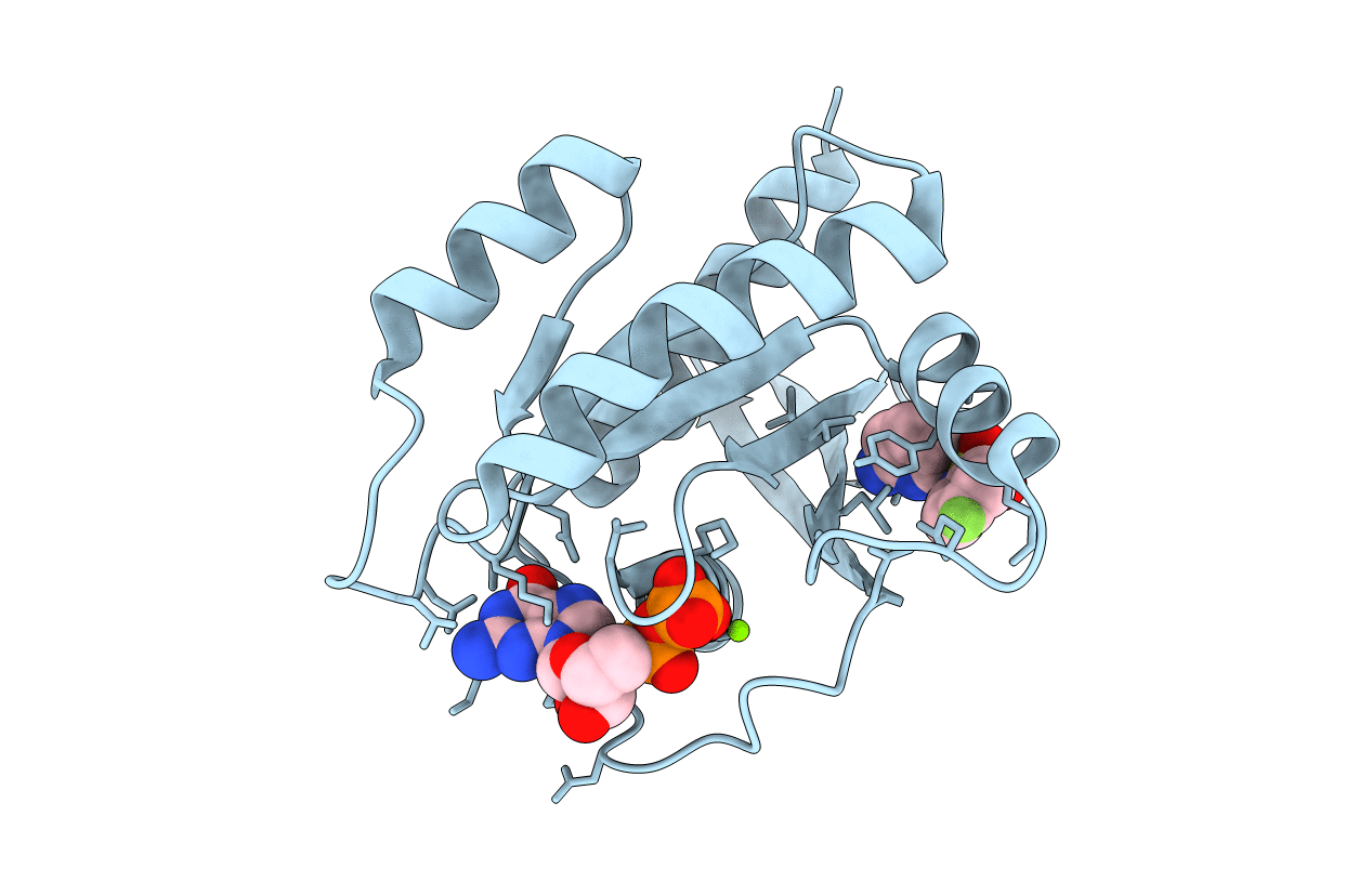 4EPX image