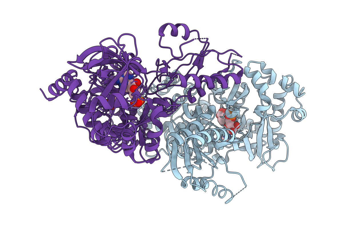 4EQ4 image