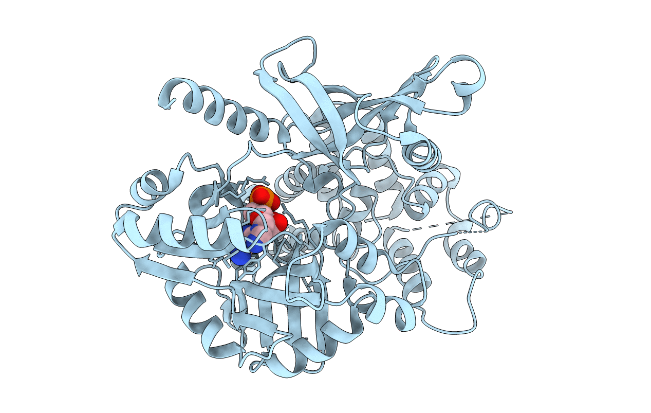 4EQ5 image