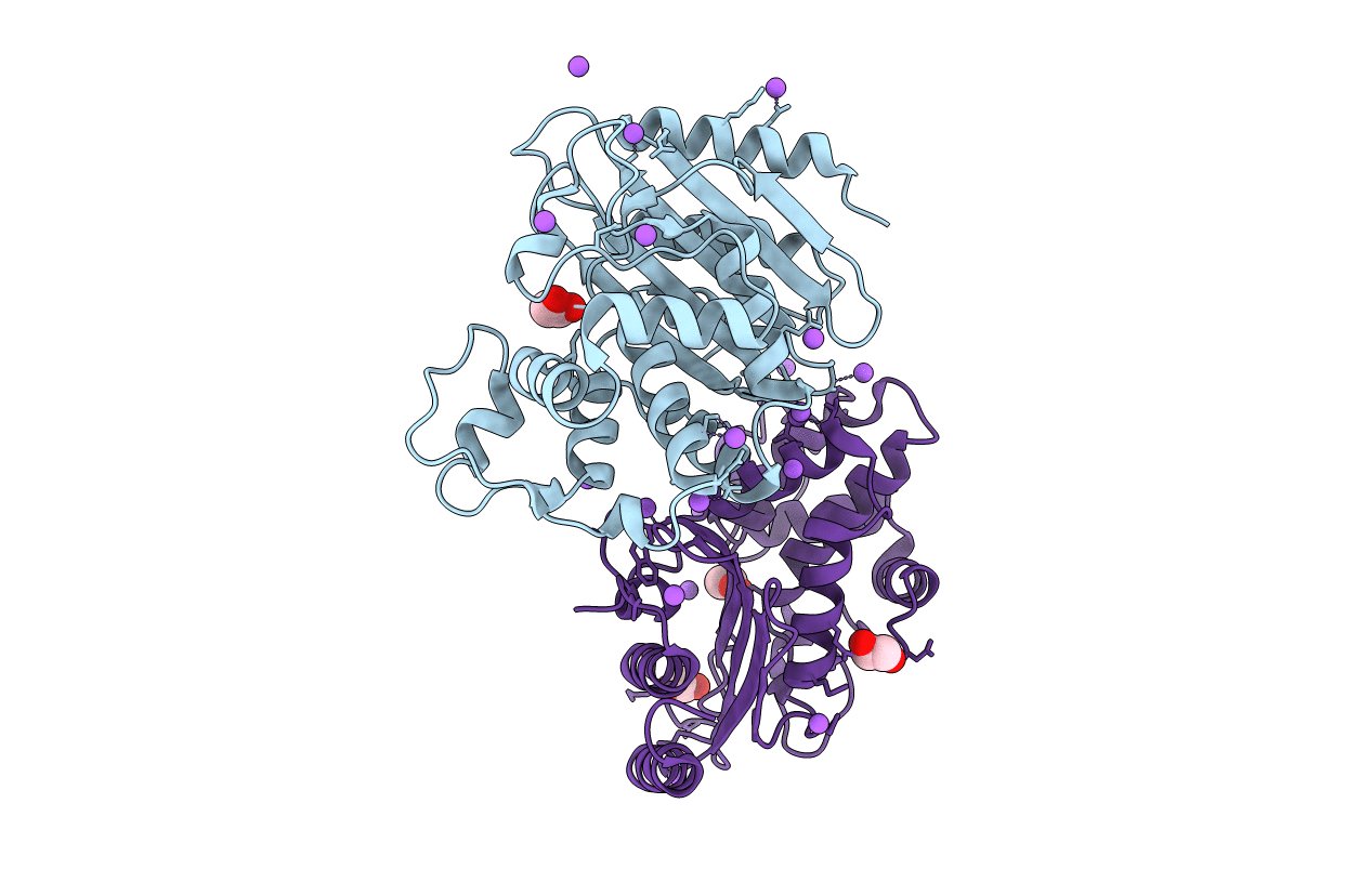 4EQI image