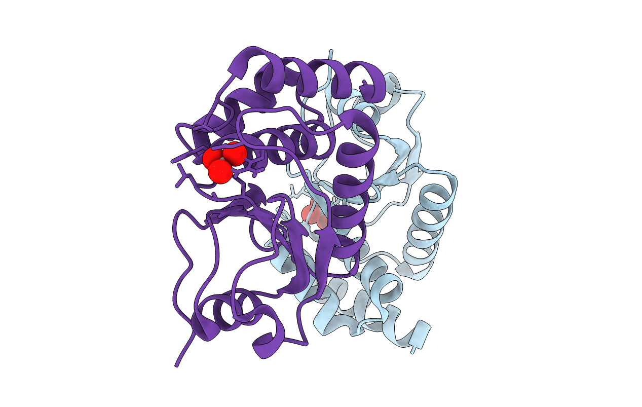 4ERC image