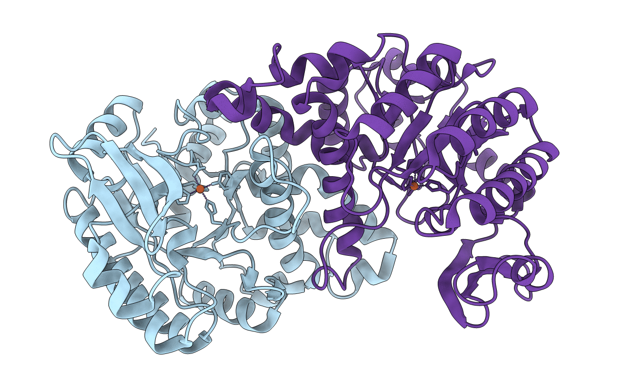 4ERG image