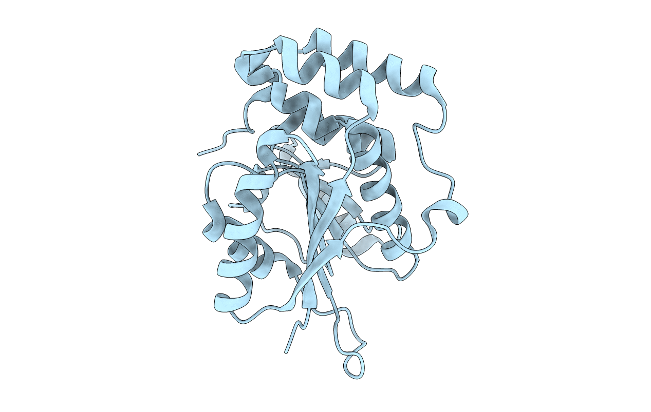 4ERN image