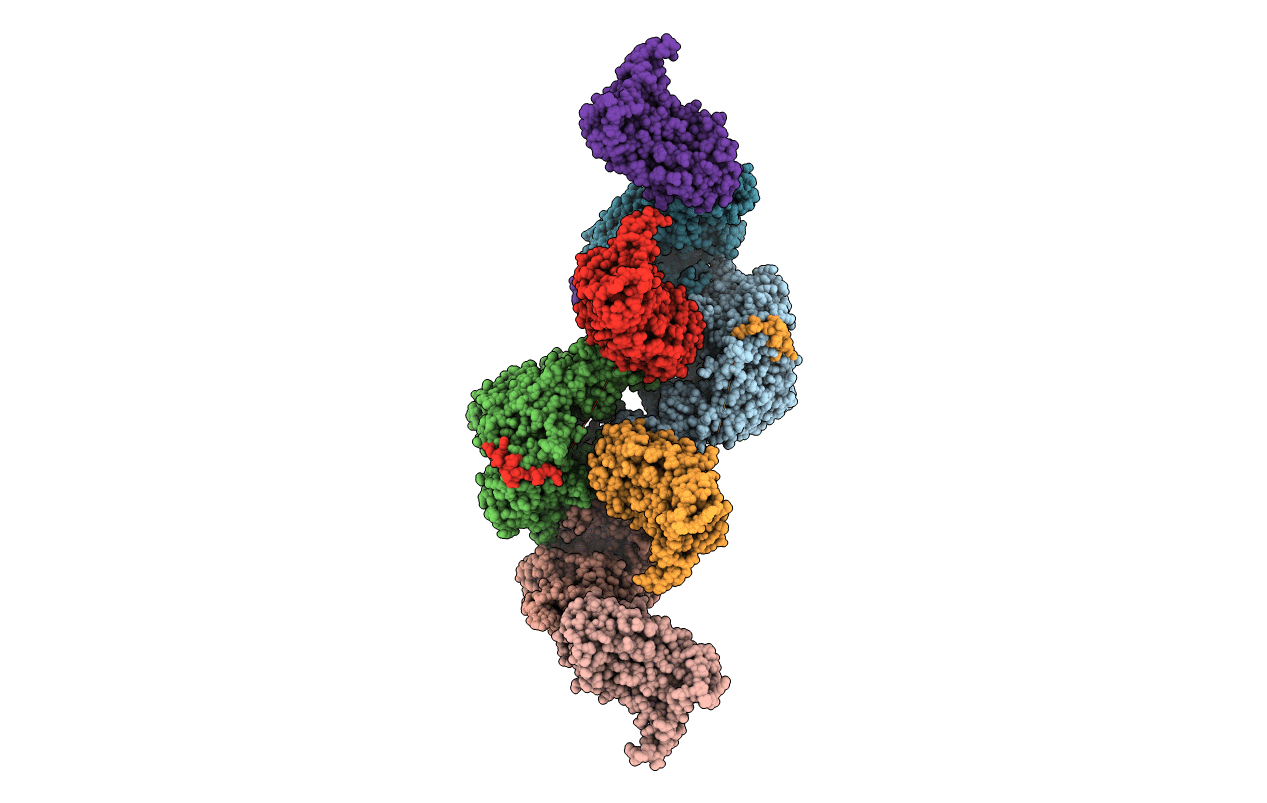 4ERP image