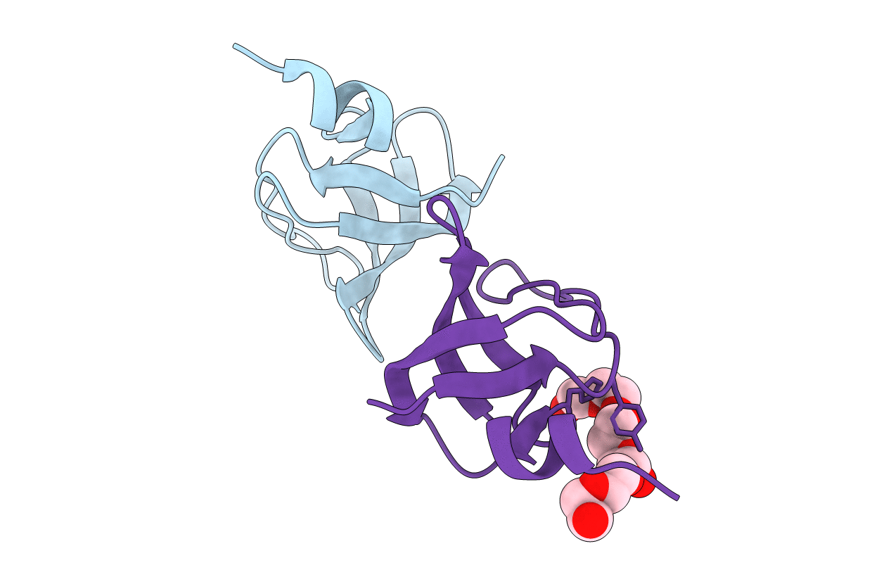 4ESR image