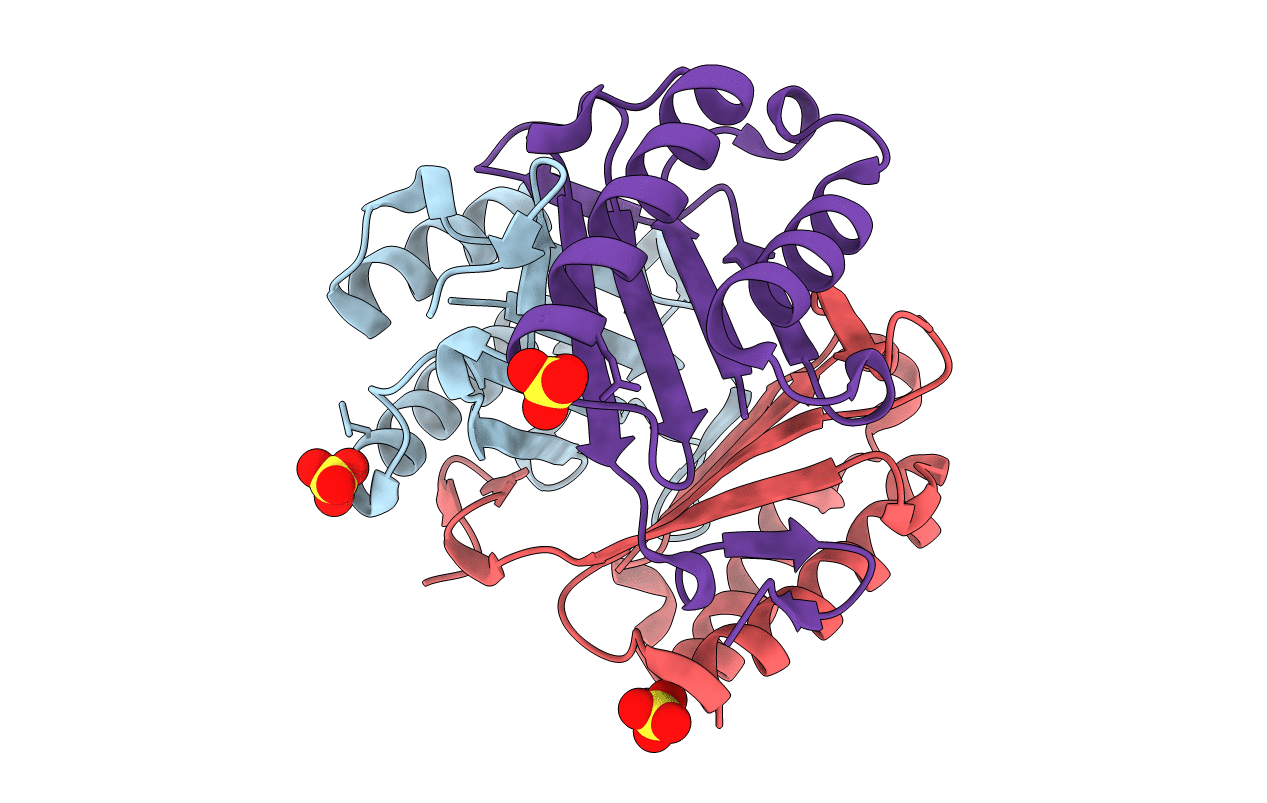 4ETG image
