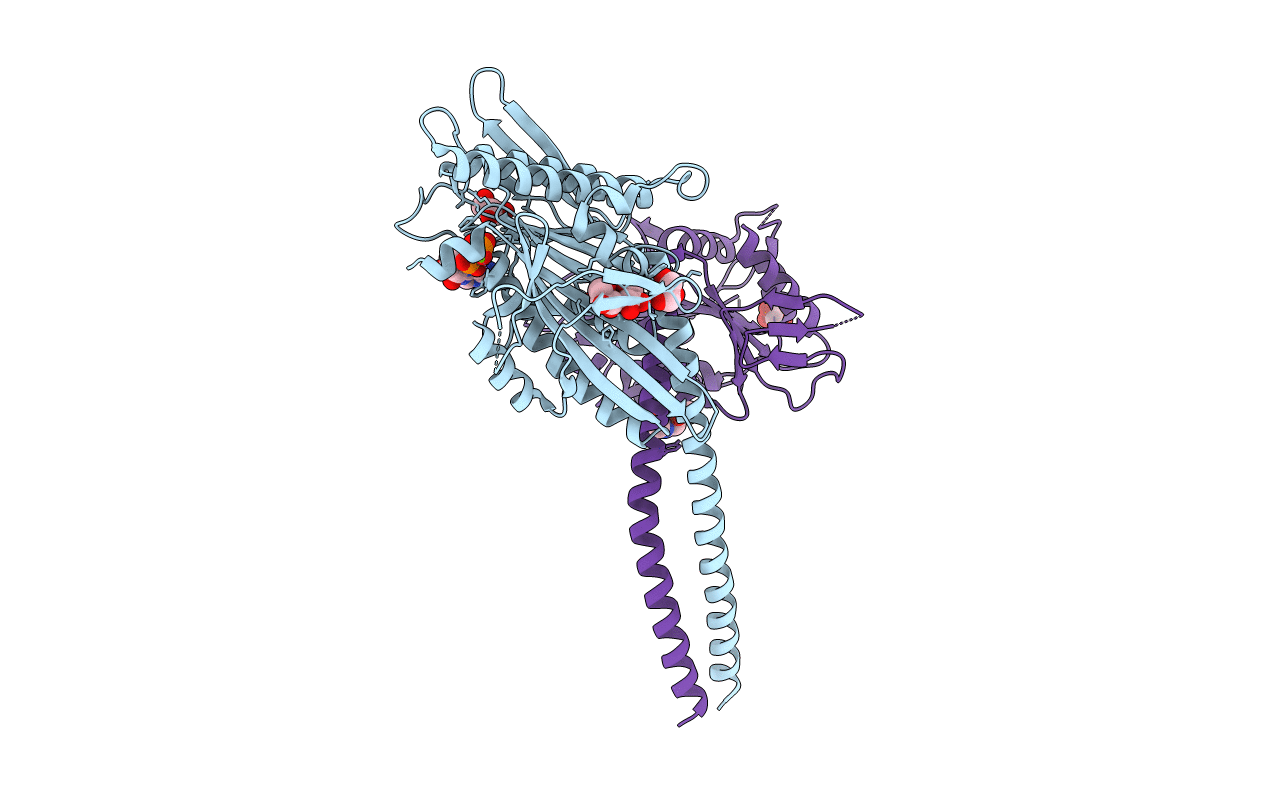 4ETP image