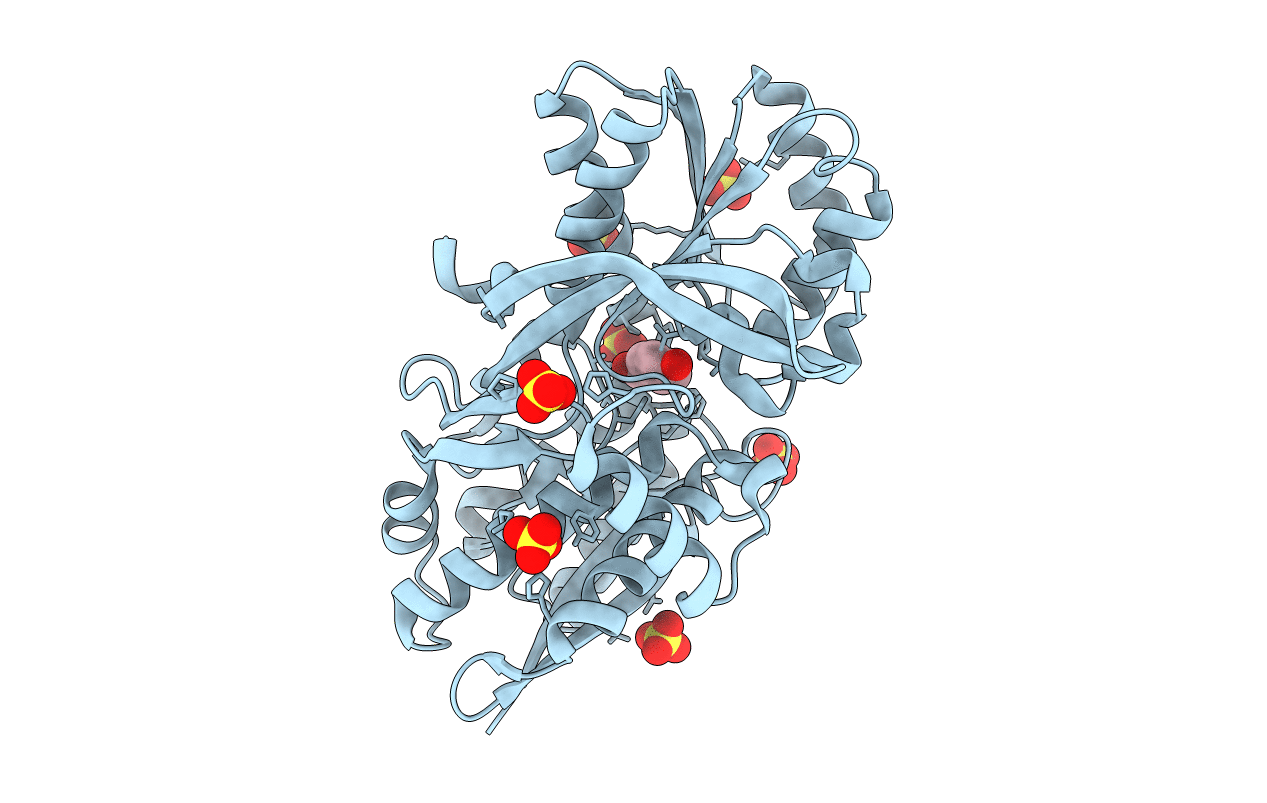 4EVS image