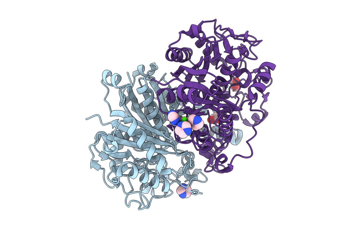4EWG image