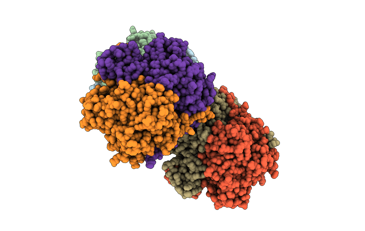 4EWP image