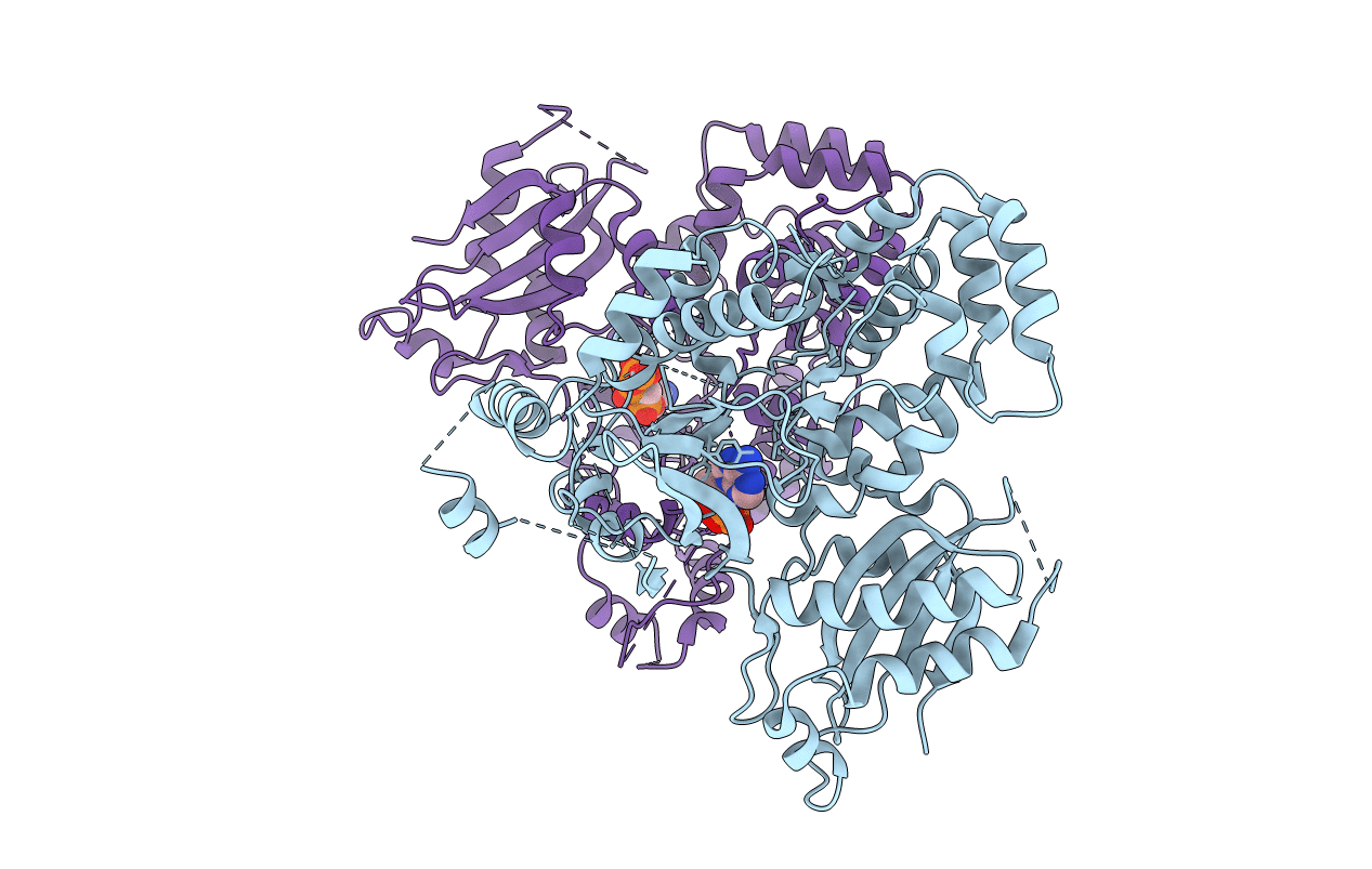 4EWV image