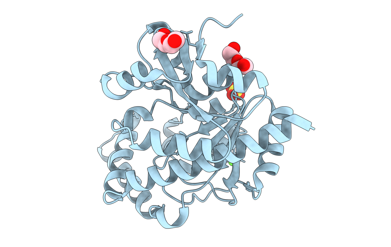 4EX8 image