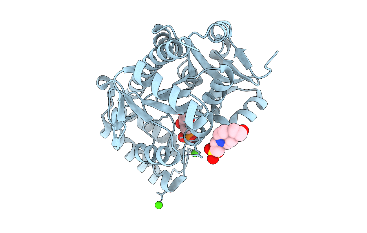 4EX9 image