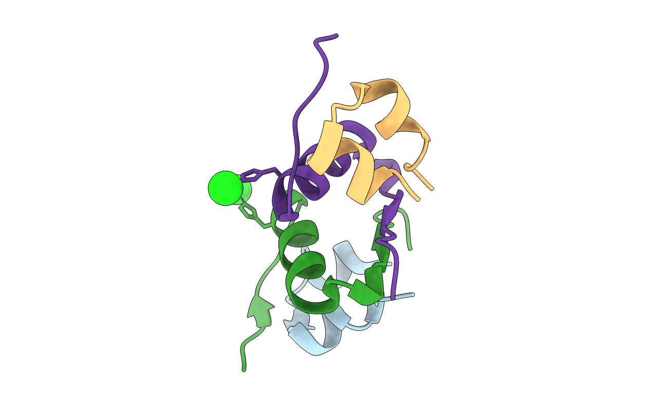 4EXX image
