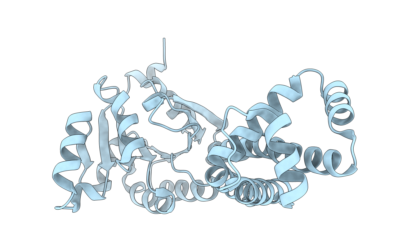 4EZB image