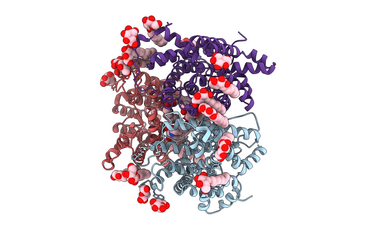 4EZC image