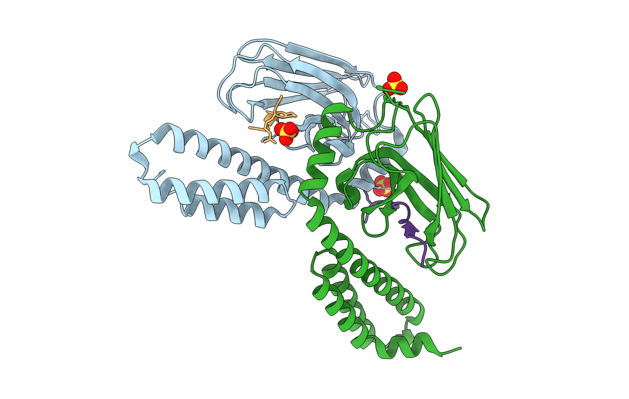 4EZP image