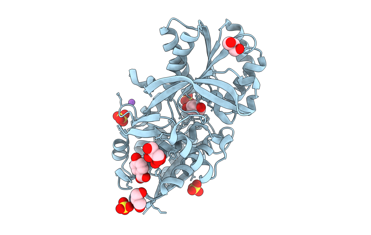 4F06 image