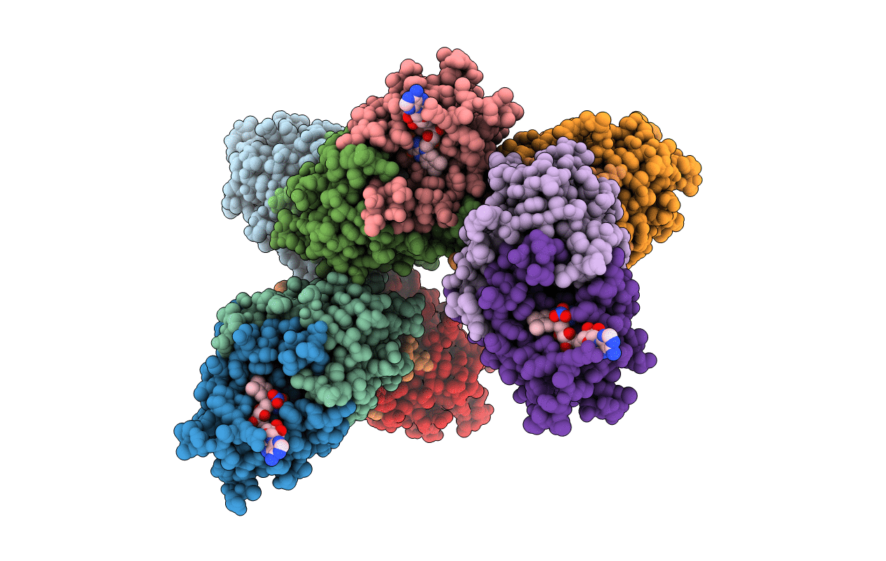 4F07 image