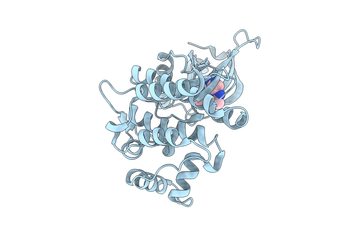 4F09 image