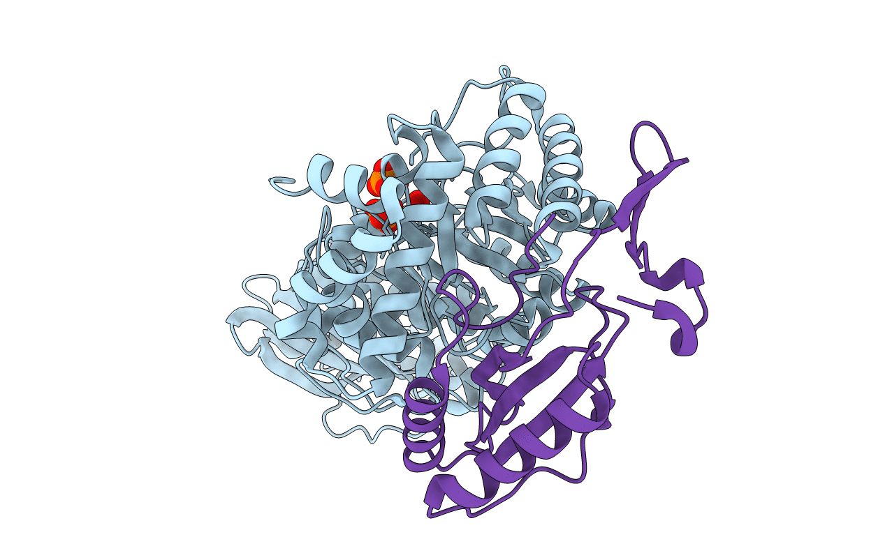 4F0H image