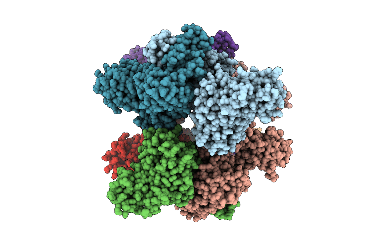 4F0X image
