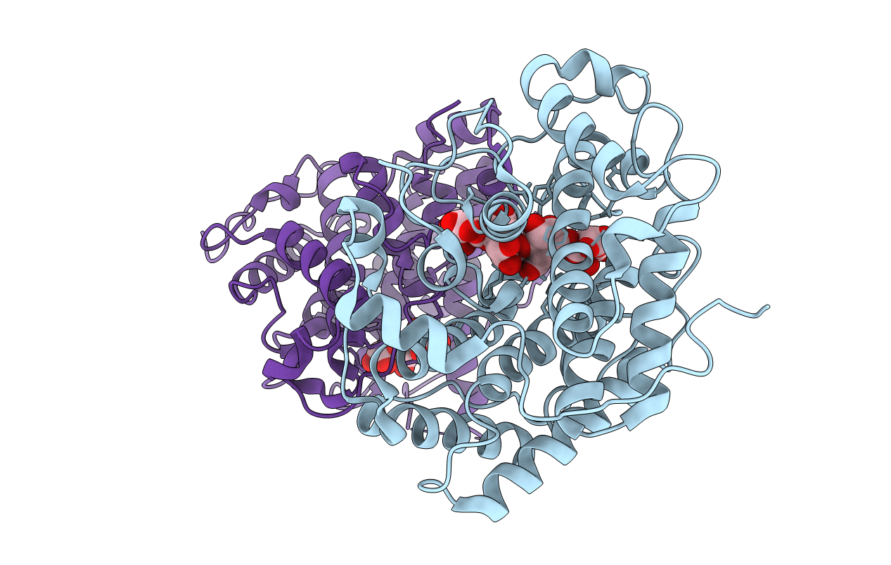 4F10 image