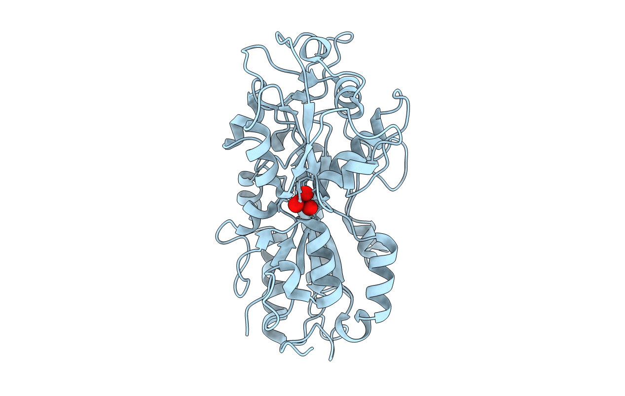 4F19 image