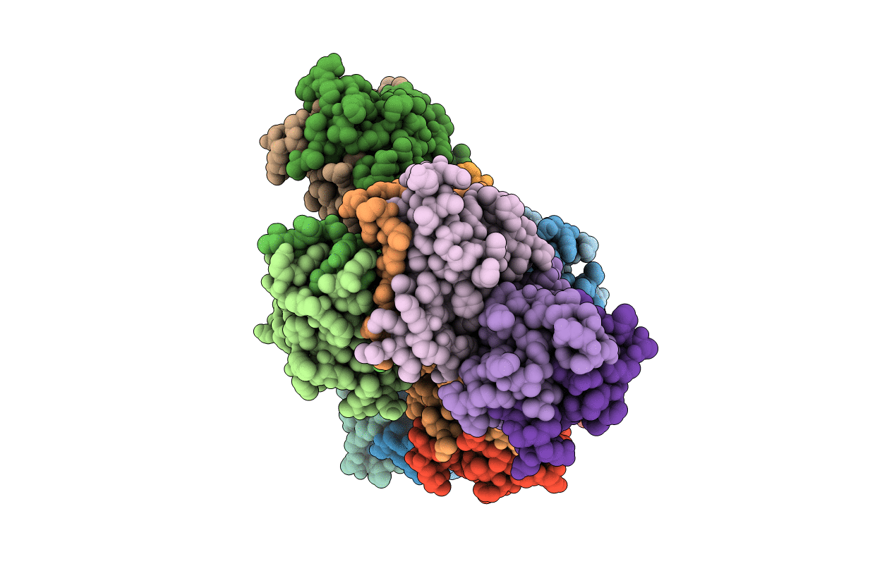 4F1E image