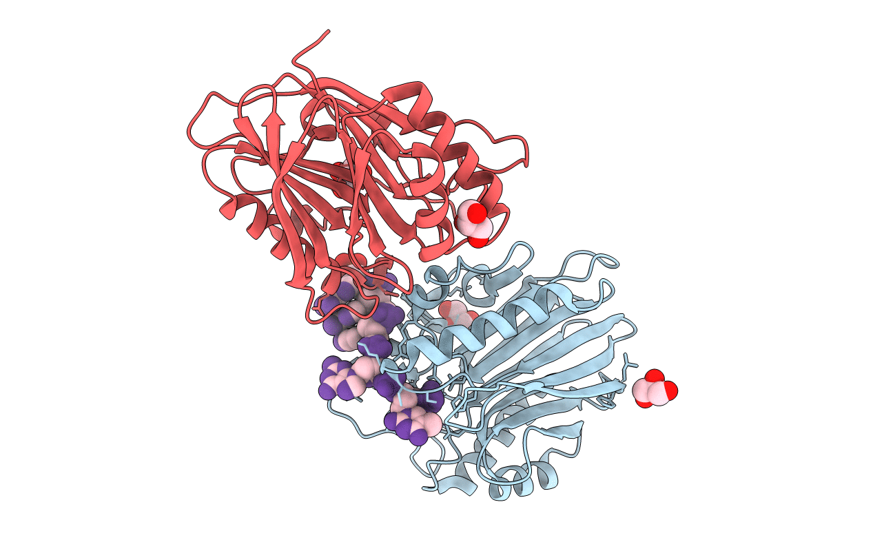 4F1H image