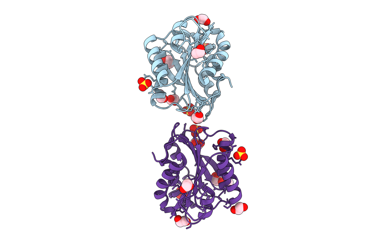 4F1K image