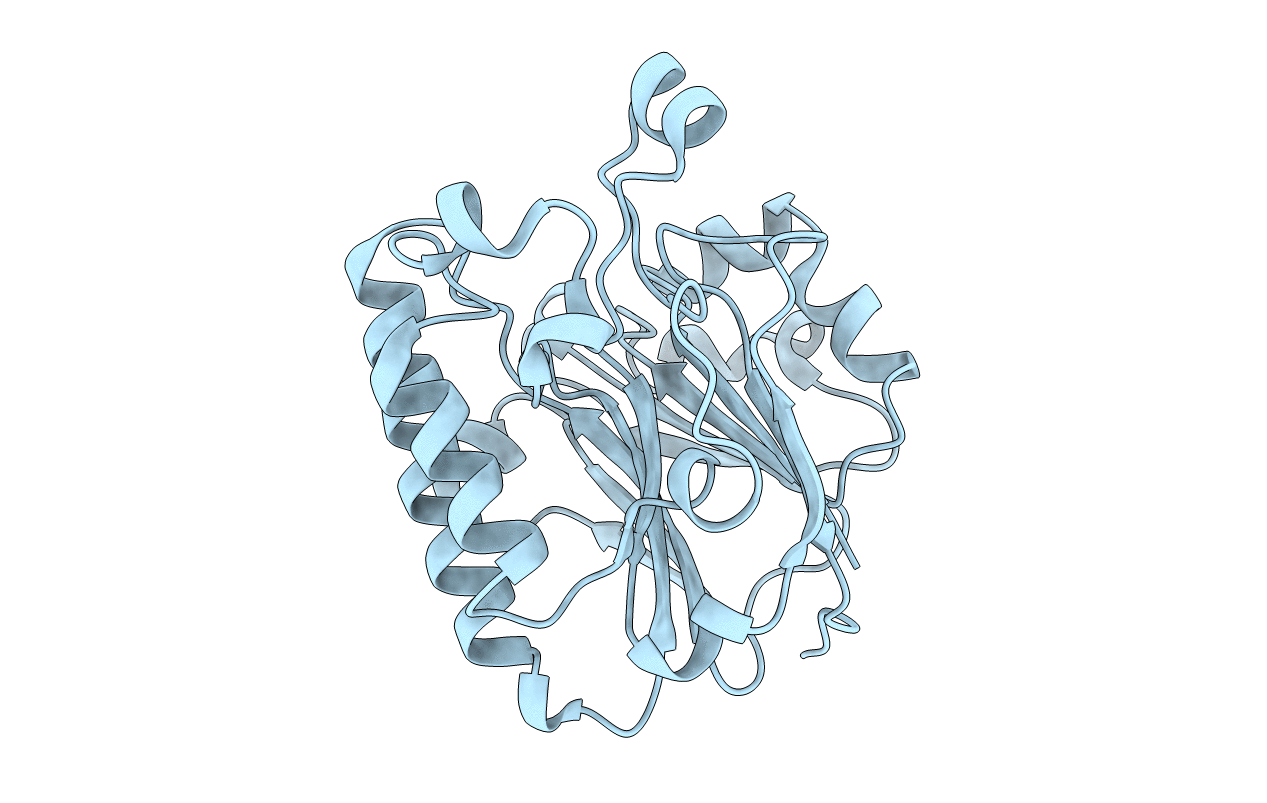 4F1R image