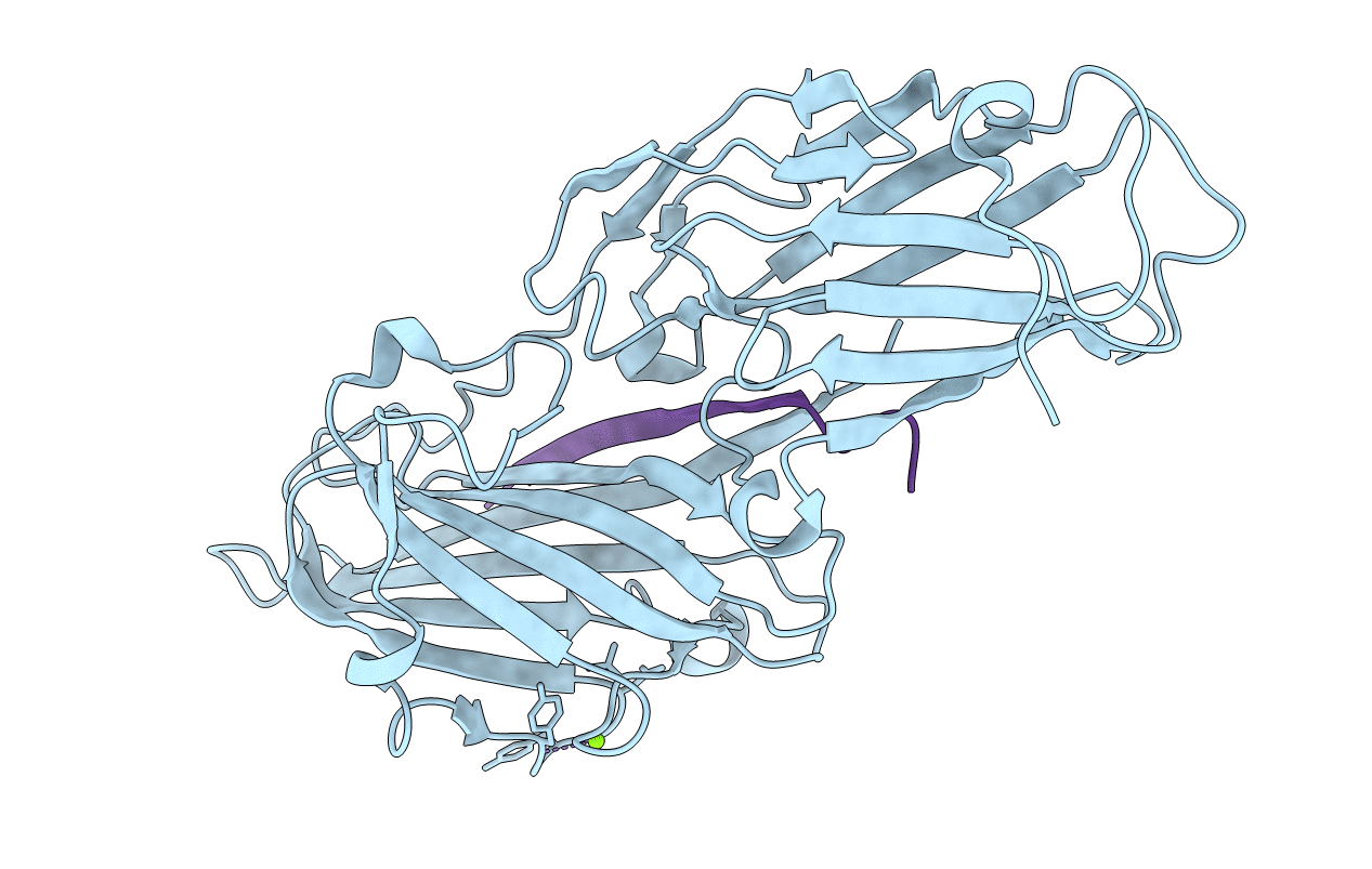 4F1Z image