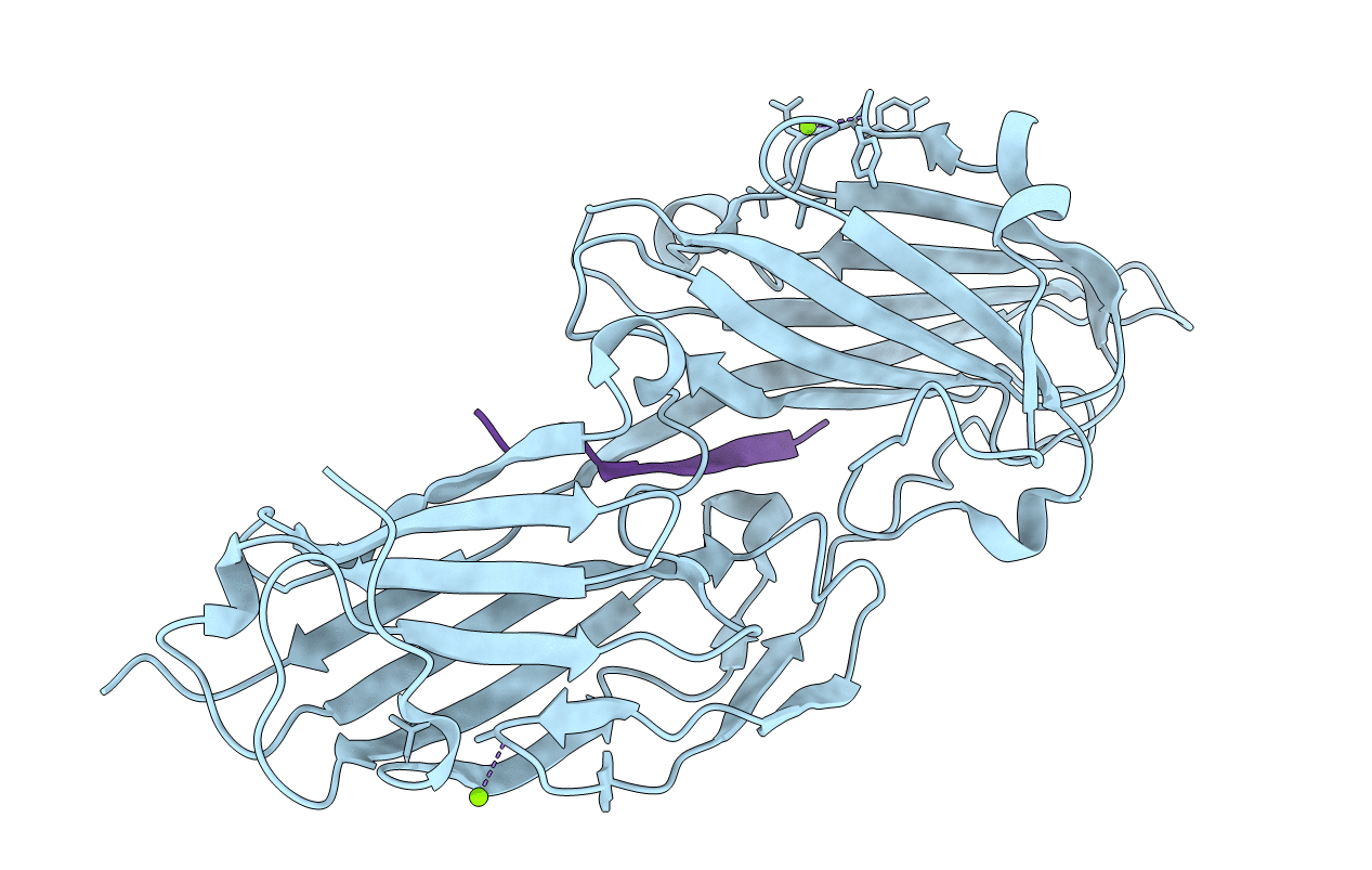 4F20 image