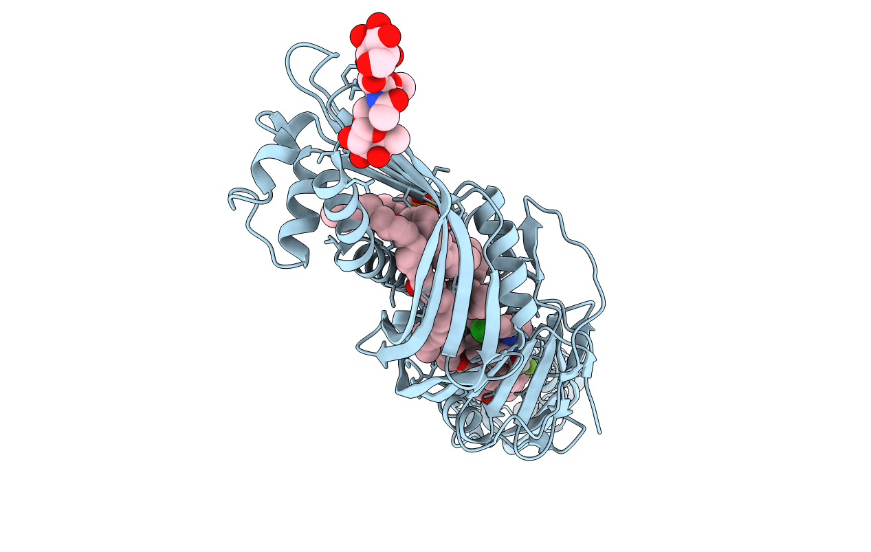 4F2A image