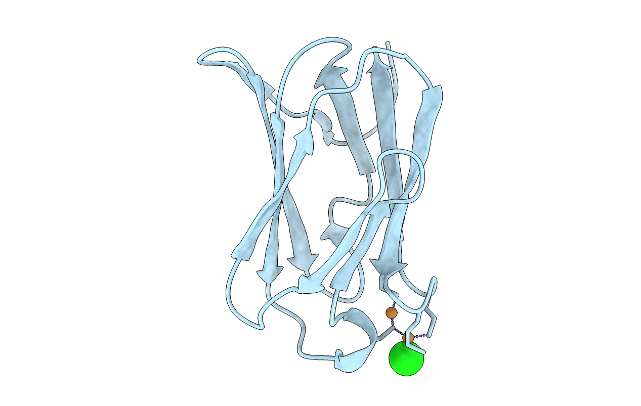 4F2E image