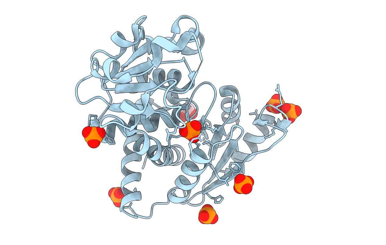 4F2G image