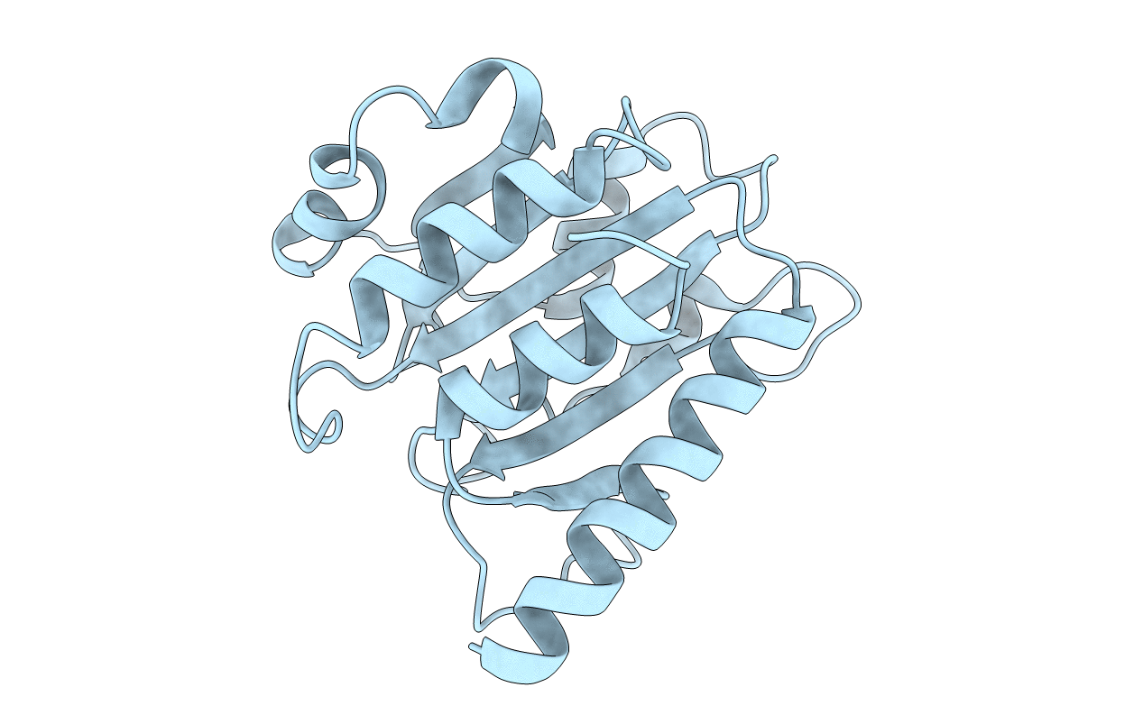 4F2H image