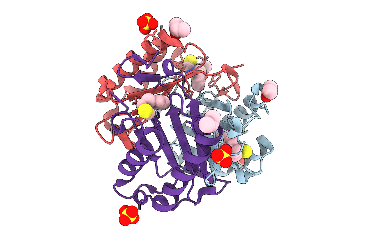 4F2K image