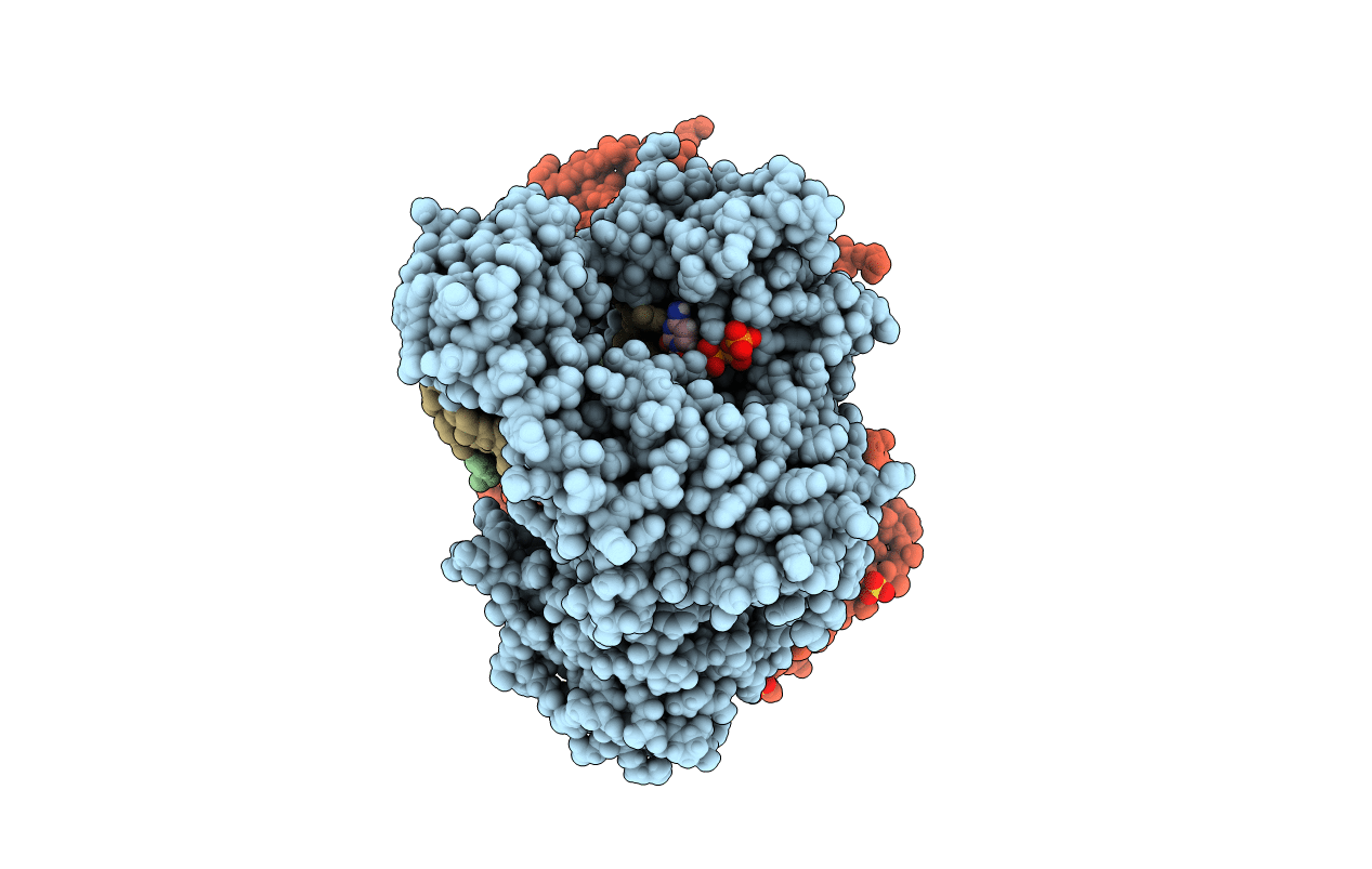4F2R image