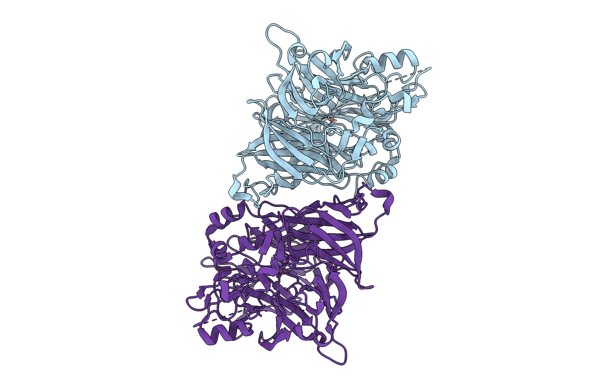 4F2Z image