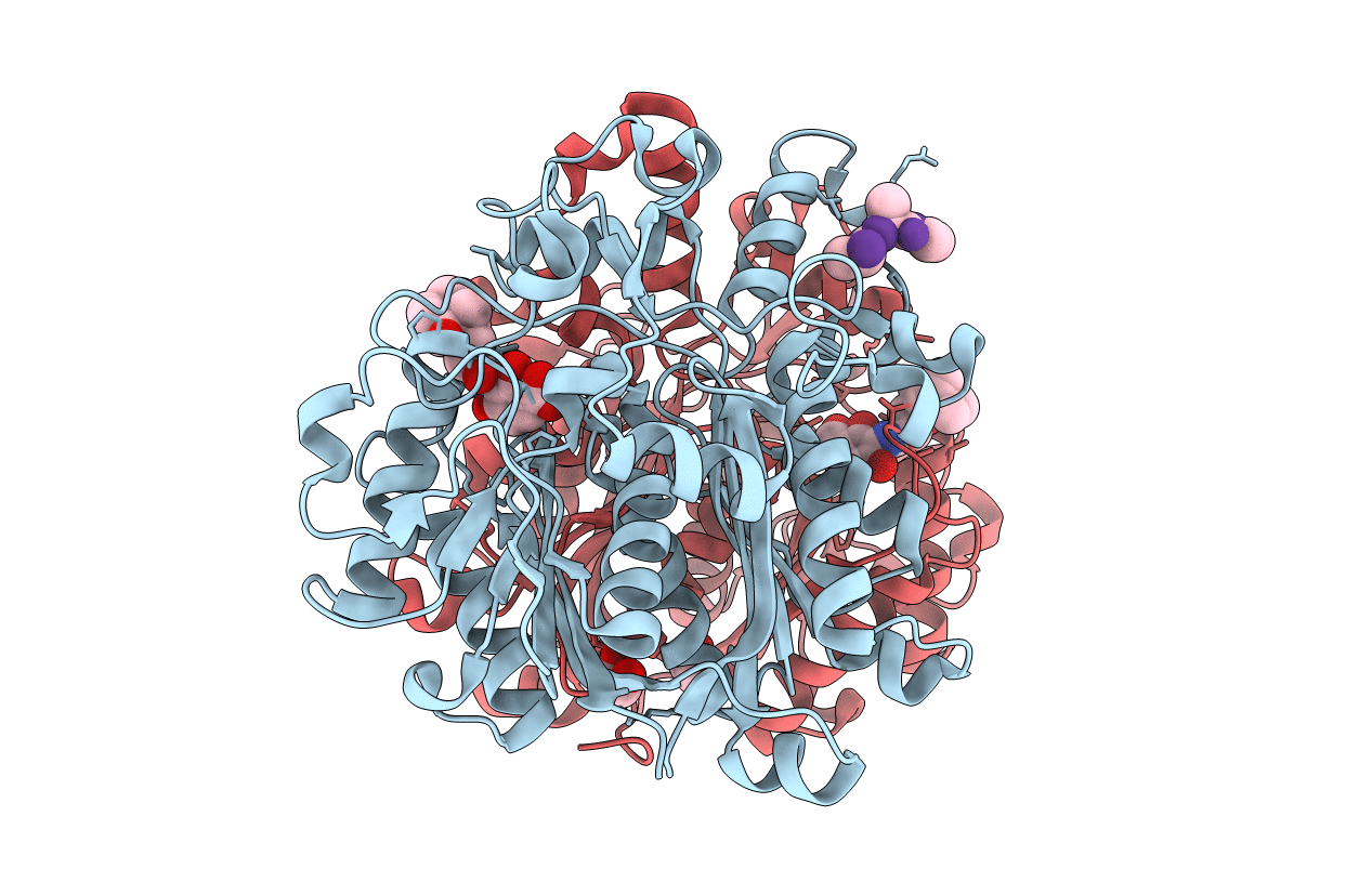 4F32 image