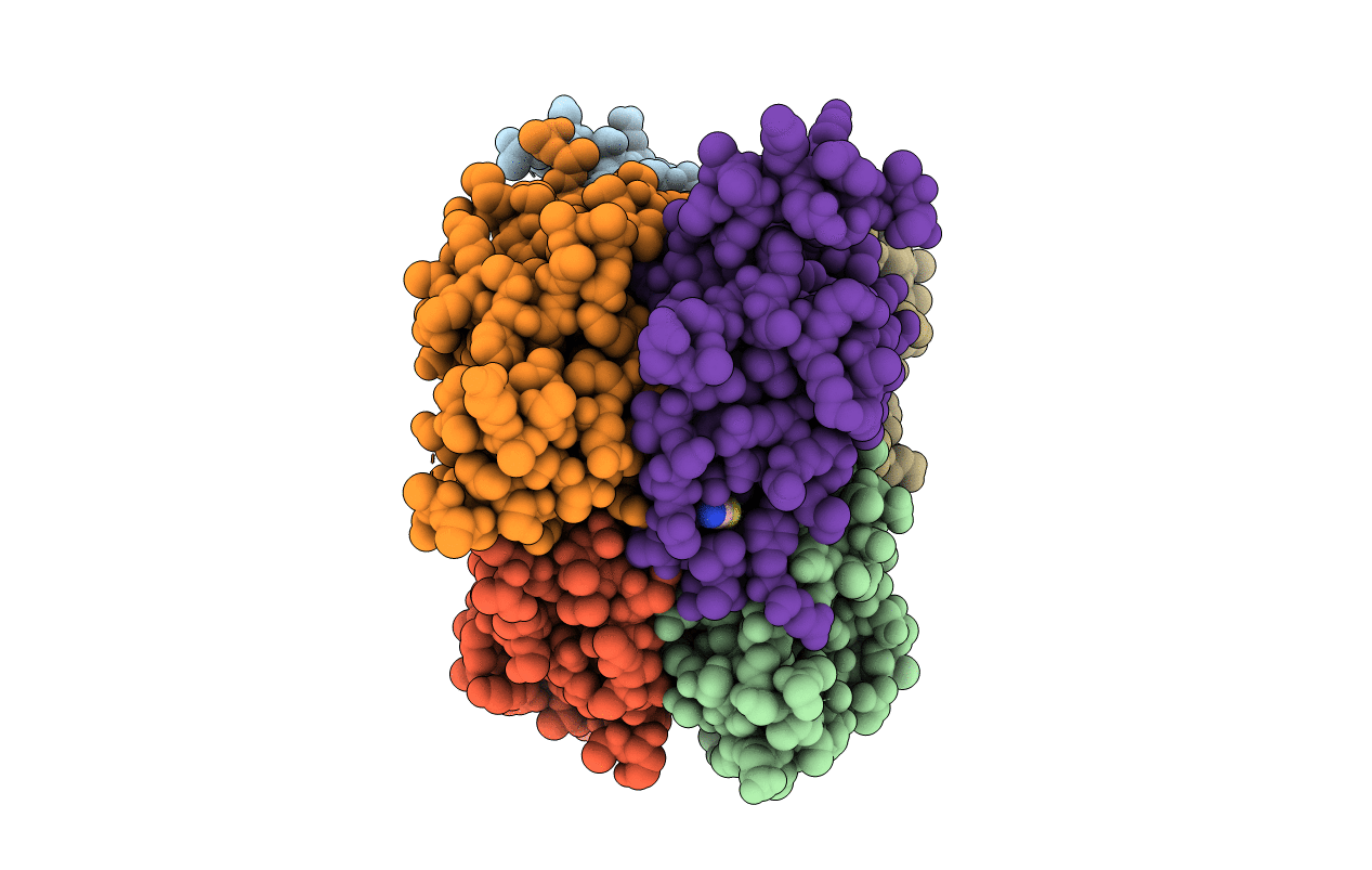 4F36 image