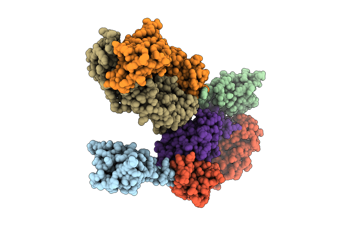 4F37 image