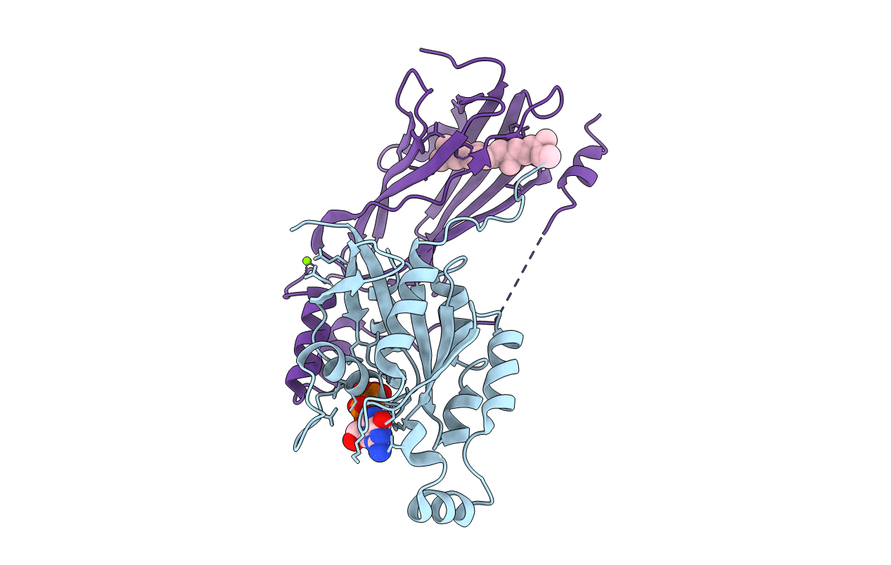 4F38 image